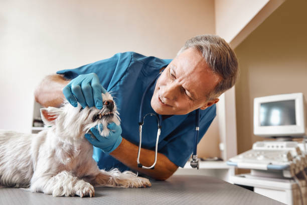 Best Emergency Tooth Extraction in Pflugerville, TX